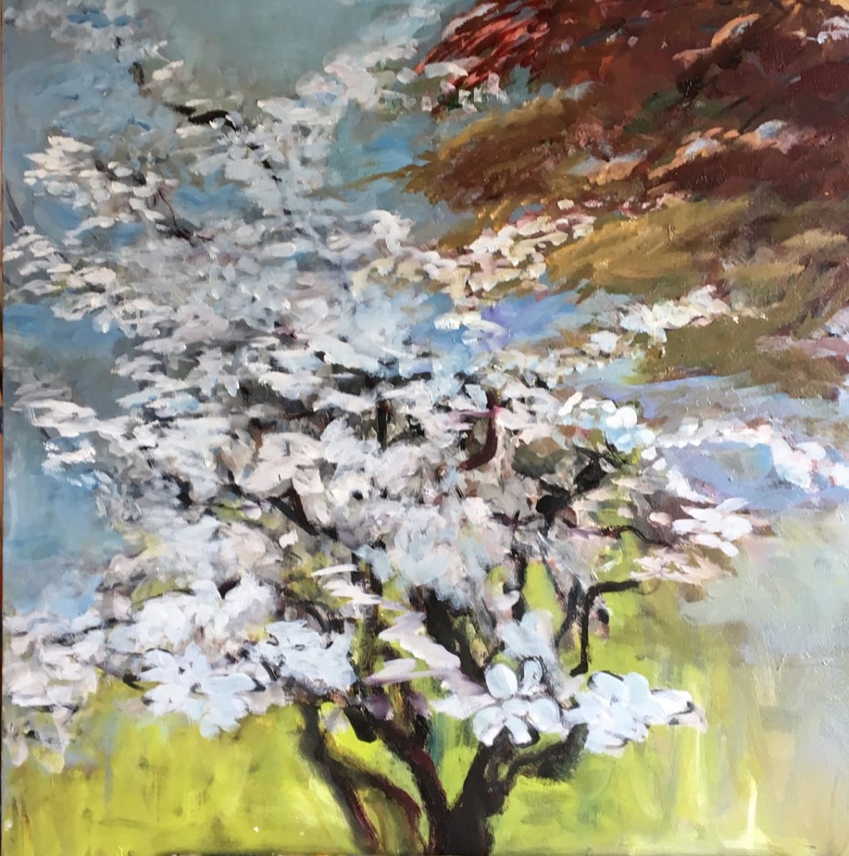 Spring Dogwood by Gay P Cox 
