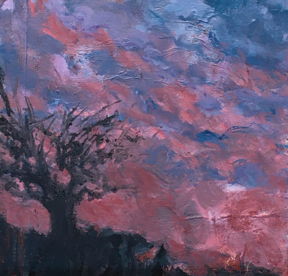 Roseate Dawn by Gay P Cox 
