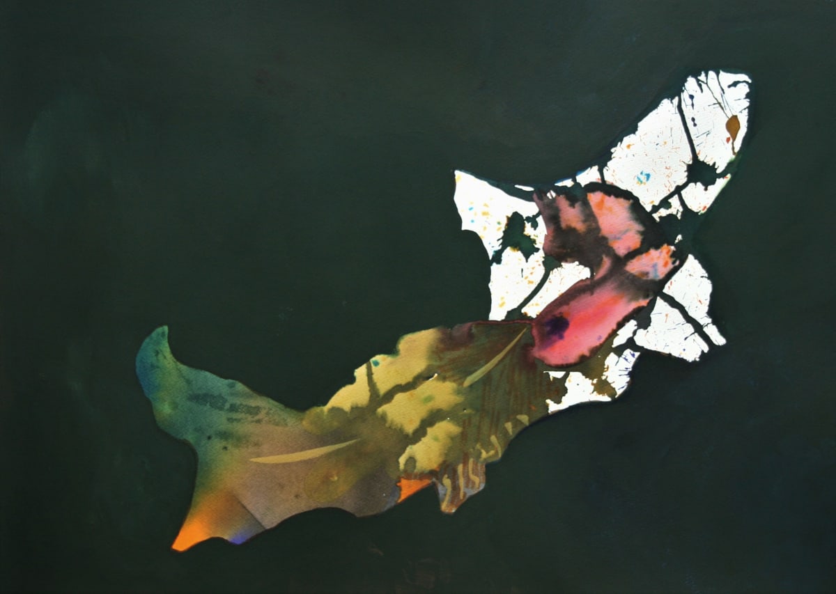 Upstream Beauty by Judith Beale 