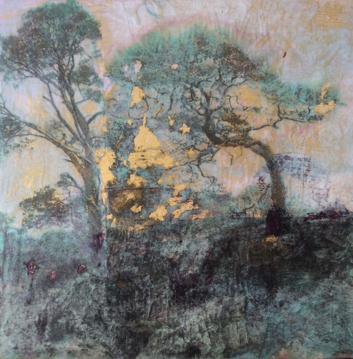 granny pines by Lisa Glaze, Image 12.
