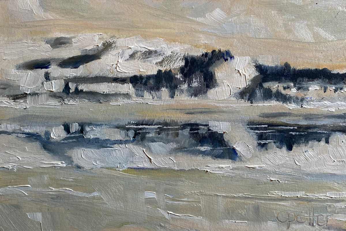 Ice Reflection by Cheryl Potter 