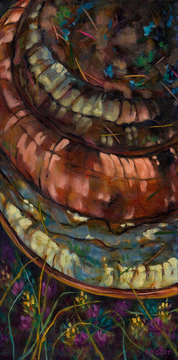 Fungi by Cheryl Potter, Image 1.
