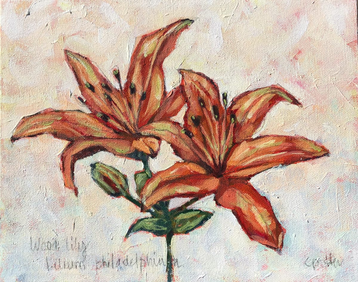 Wood Lily by Cheryl Potter 