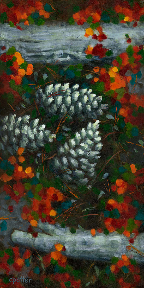 Pinecones by Cheryl Potter 