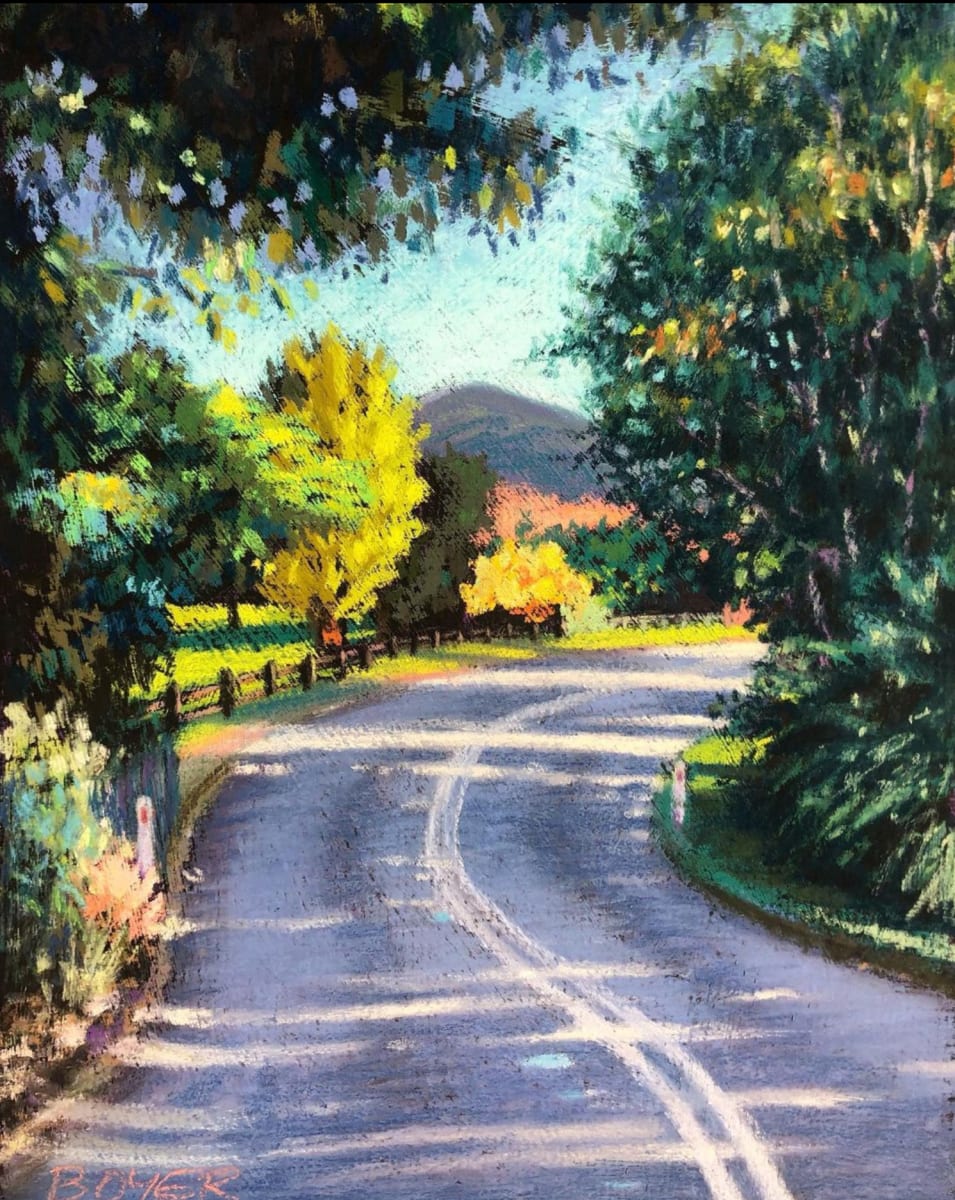 Winter Sunlight on Burringbar Road by Susy Boyer  Image: Beautiful Winter sunlight dappling across a leafy bend in Burringbar Road. The colours jumped out so vividly I just had to pull the car over and capture it.