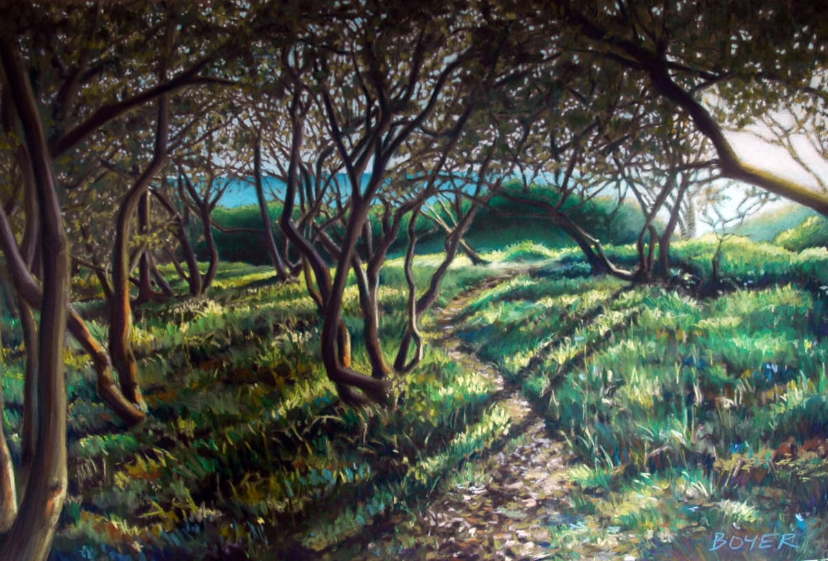 Coastal Bush Track by Susy Boyer  Image: One of my favourite coastal bush tracks leading to an isolated beach near my home. I felt inspired to paint this scene because of the way the early sunlight cast such gorgeous long shadows of twisted trees on dewy grass. Evocative of a children's book illustration...one almost expects to see Red Riding Hood, or maybe a Gruffalo?