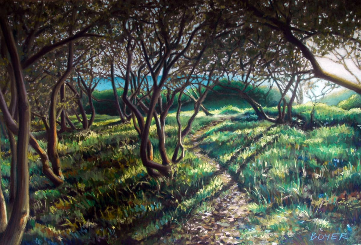 Coastal Bush Track by Susy Boyer, Image 1.