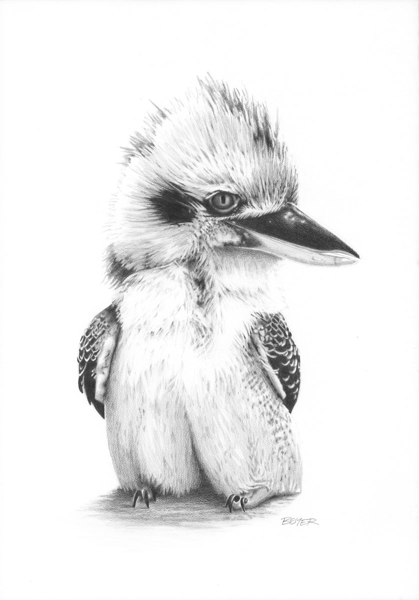 Punk Monty by Susy Boyer 