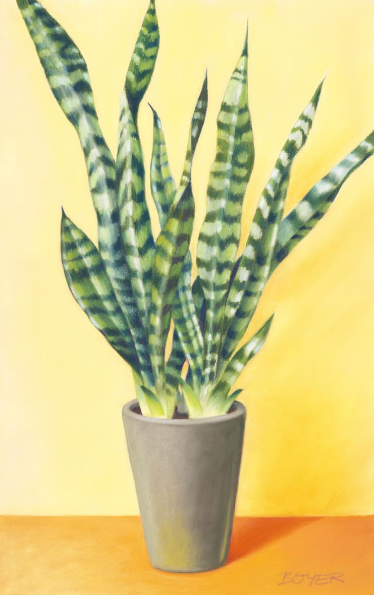 Sunny Sanseveria by Susy Boyer  Image: This twisty Sanseveria (Snake Plant) was fresh and new to my house. I sketched and painted it from life and invented the grey cylindrical pot to go with it. Interestingly, the mustard/grey colour combination was inspired by towels hanging in my bathroom and I wanted to try them out in a painting.