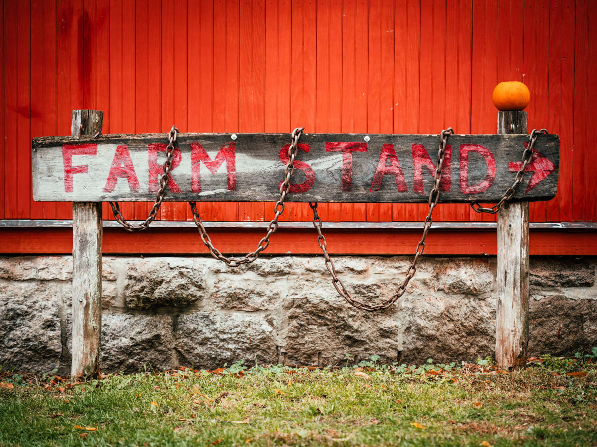 Farm Stand by Peter Mendelson 