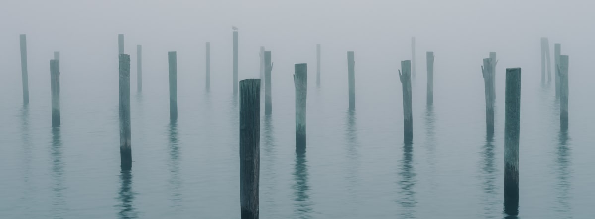 Depth Perception by Peter Mendelson 