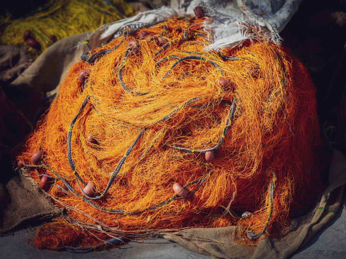 Fishing Nets II by Peter Mendelson, Image 1.