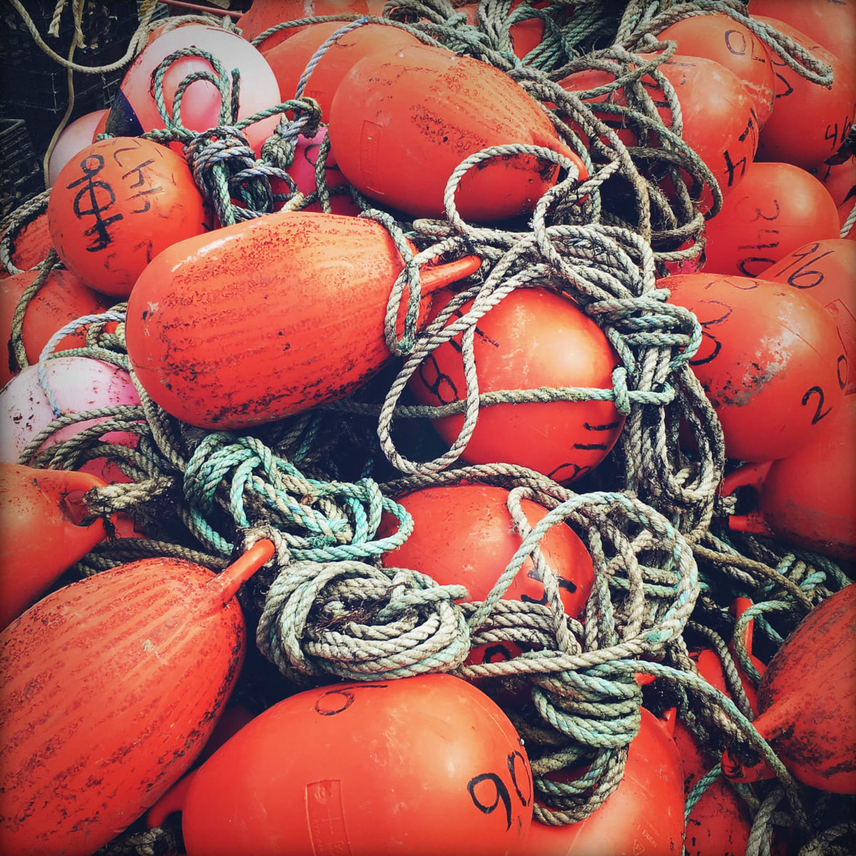 Buoy Tangle by Peter Mendelson 