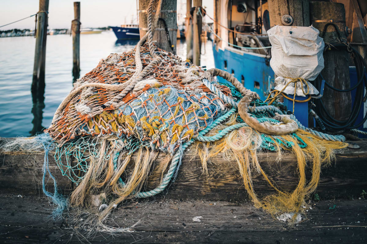 Fishing Nets IV by Peter Mendelson 