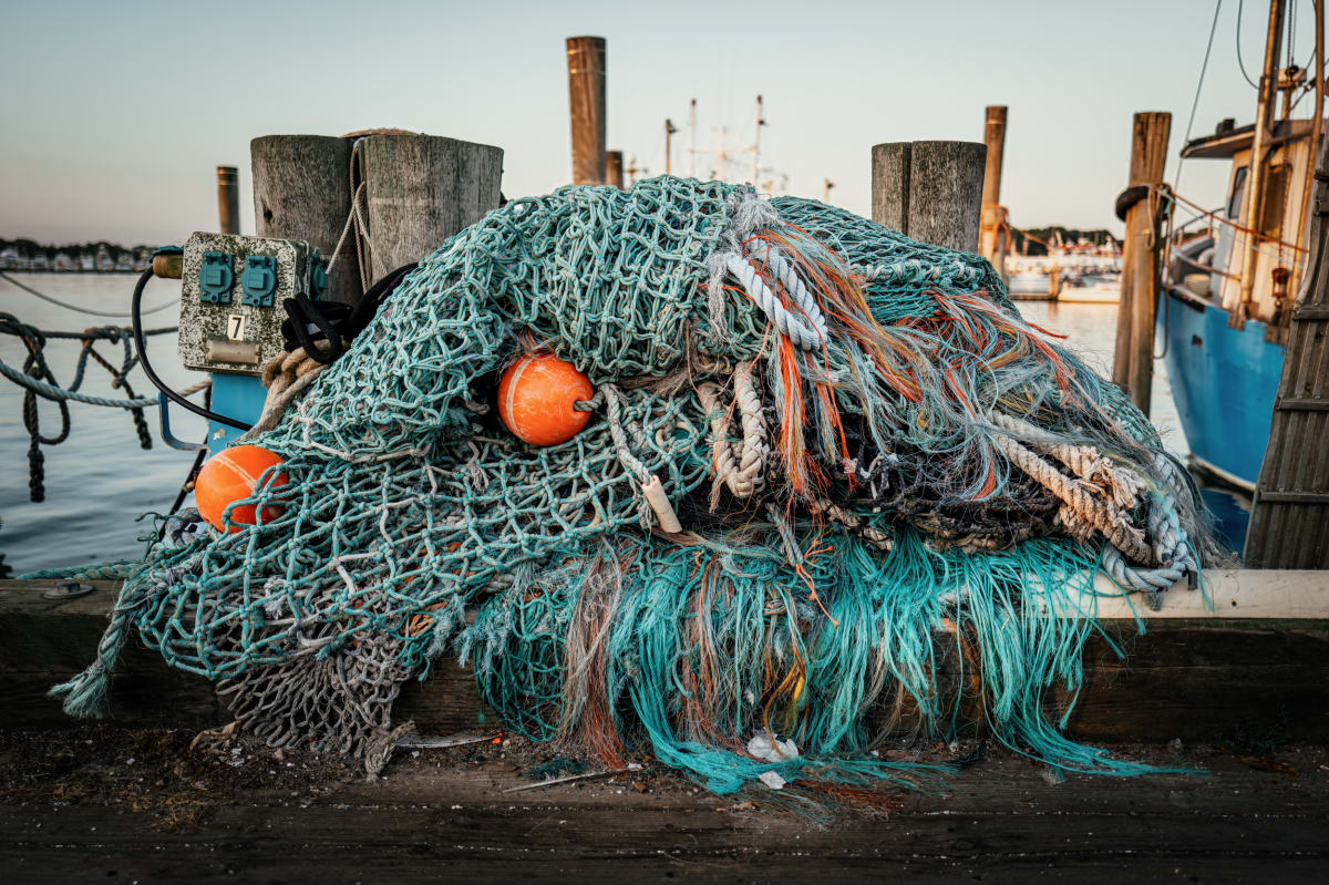 Fishing Nets V by Peter Mendelson 