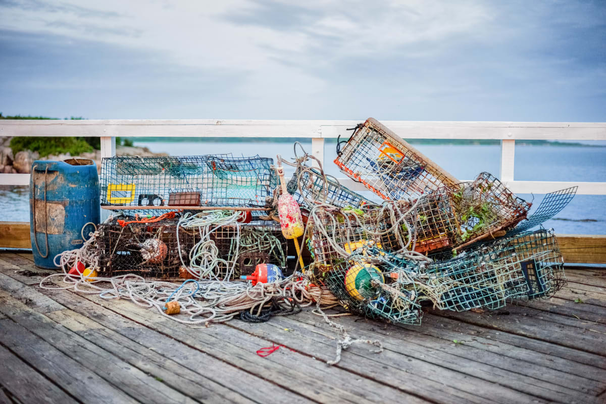 Mangled Lobster Traps by Peter Mendelson 