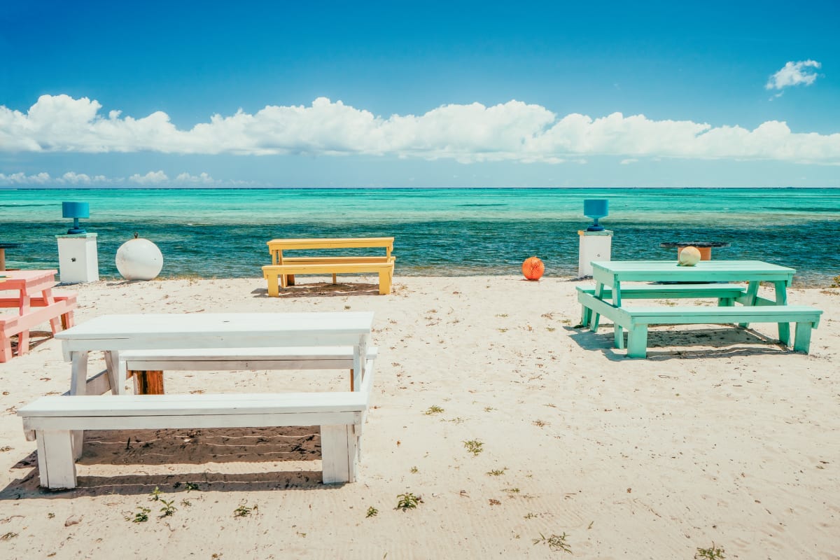 Caribbean Picnic by Peter Mendelson 