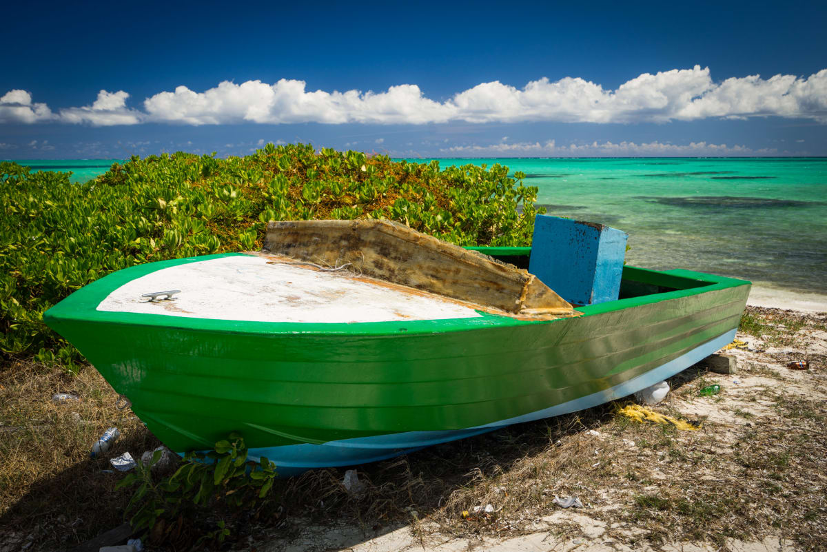 In for Repair by Peter Mendelson 