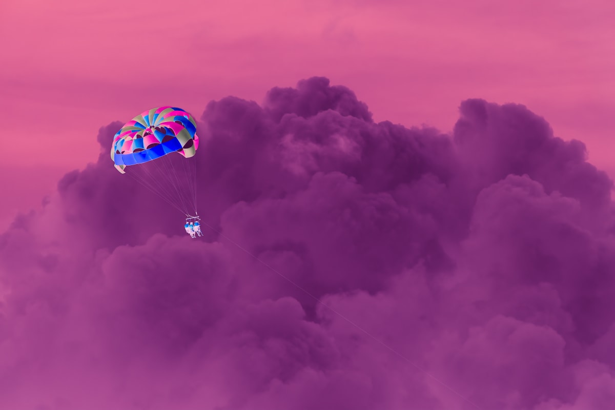 Inverted Realities - Into the Pink by Peter Mendelson 