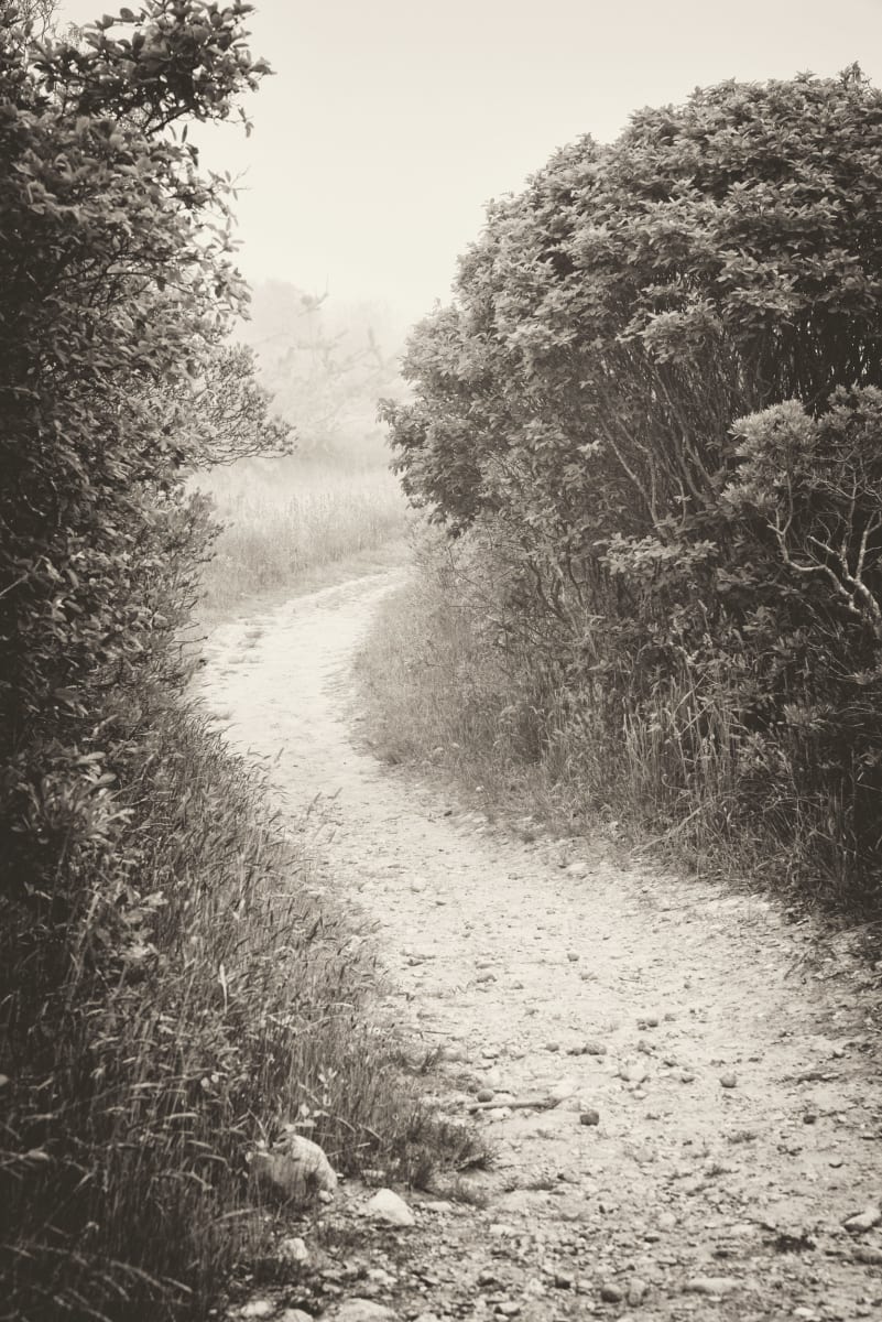 Rodman's Hollow I by Peter Mendelson, Image 1.