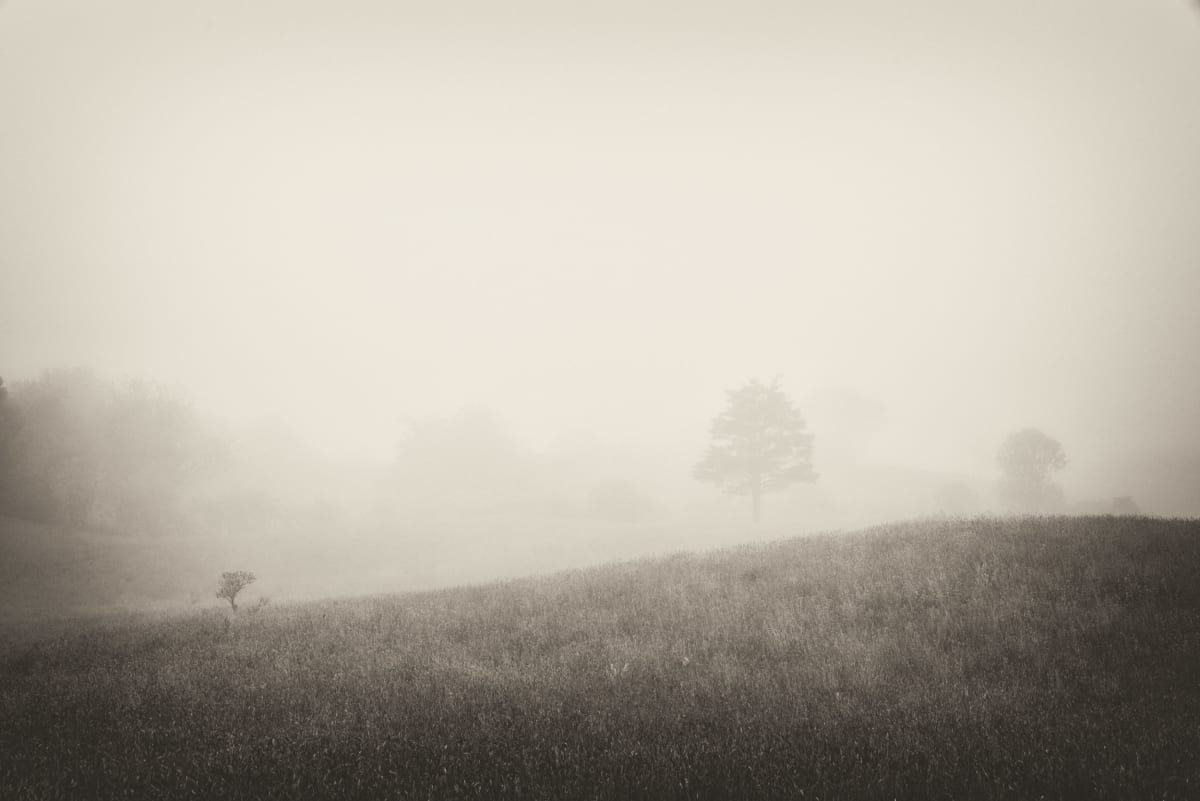 Rodman's Hollow II by Peter Mendelson, Image 1.