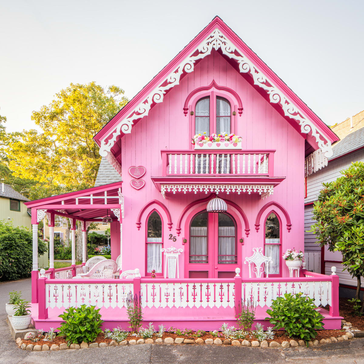 The Pink House by Peter Mendelson 