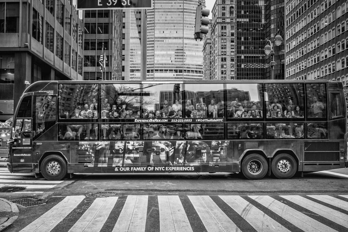 Experience the Ride by Peter Mendelson, Image 1.