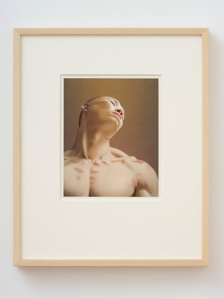 Hest (Horse) 1/6 by Aleksander Kheiron Matsberg  Image: Framed view