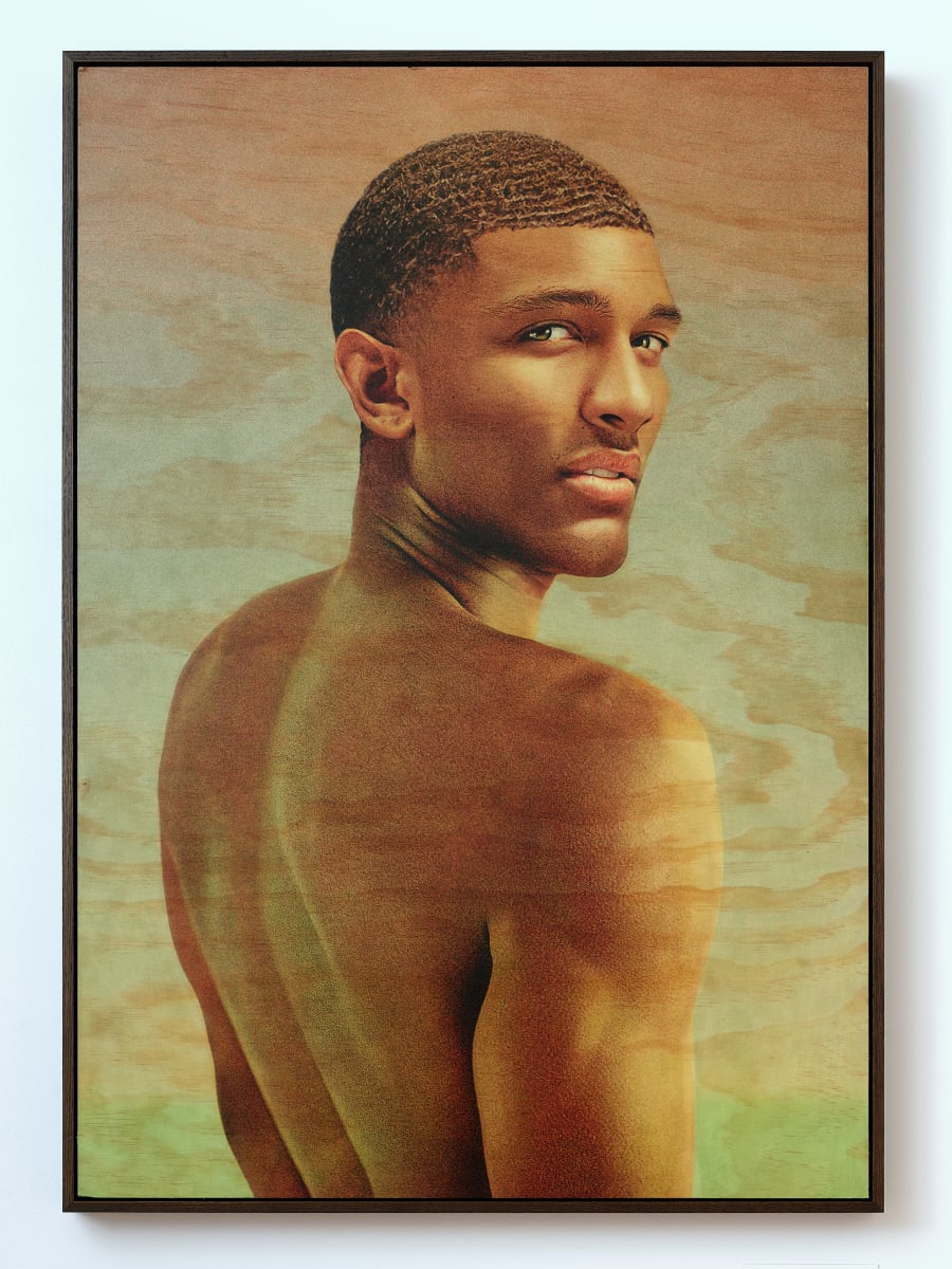 Chiron (in the Twelfth House) by Aleksander Kheiron Matsberg  Image: Framed view