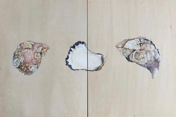 Three Oysters by Louise Richards-Green 