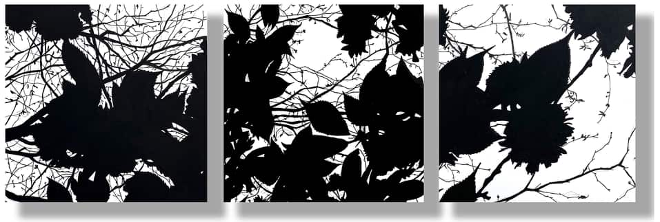 Study I for I Can Hear The Almost Unhearable Sound Of The Flowers Singing by Lindsay Heider Diamond 