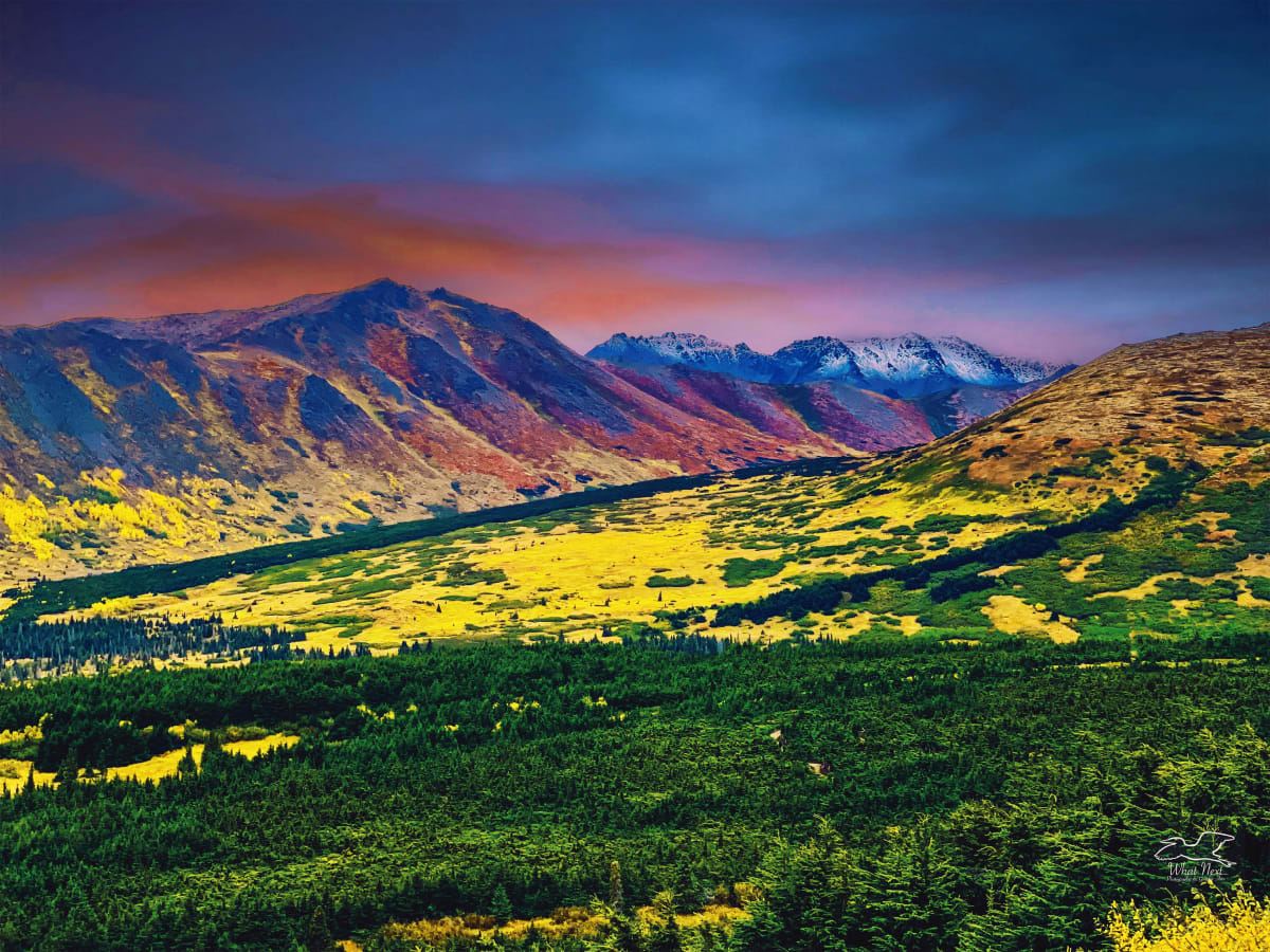 Alaskan Tundra by Dee Esler  Image: Alaskan Tundra 