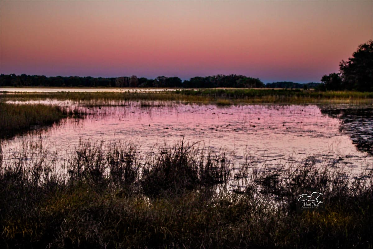 “Watermelon Pond” by Dee Esler  Image: “Watermelon Pond”