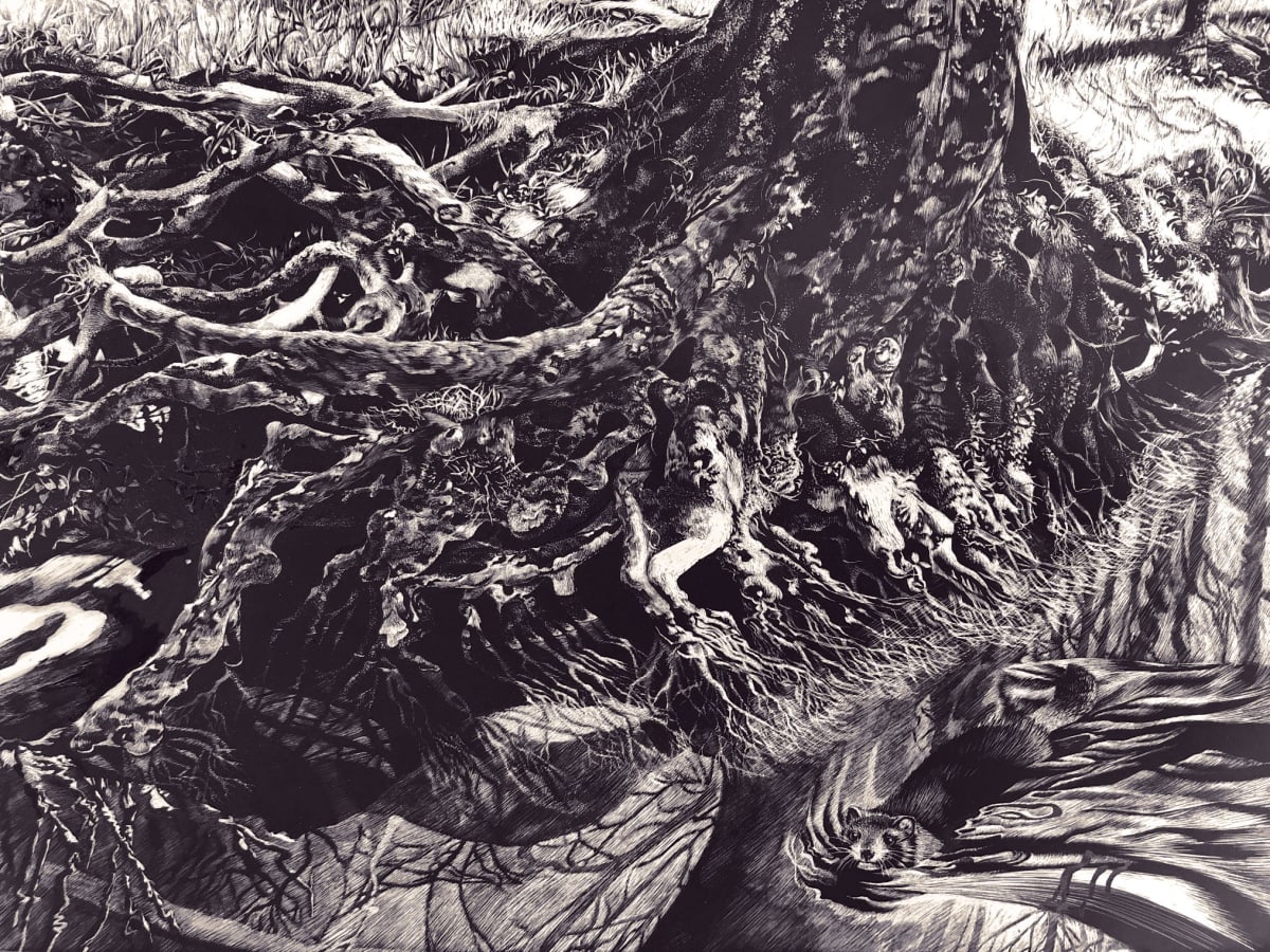 Rooted in Kentucky by Lindsey Kiser  Image: (c) Lindsey Kiser 2019. "Roots in Kentucky", scratchboard, 9" x 12"
