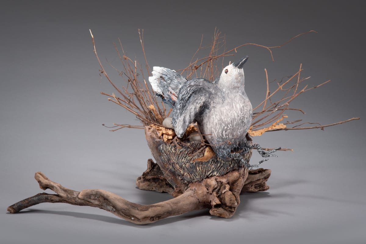 Popping off the Nest by Barbara Fletcher 