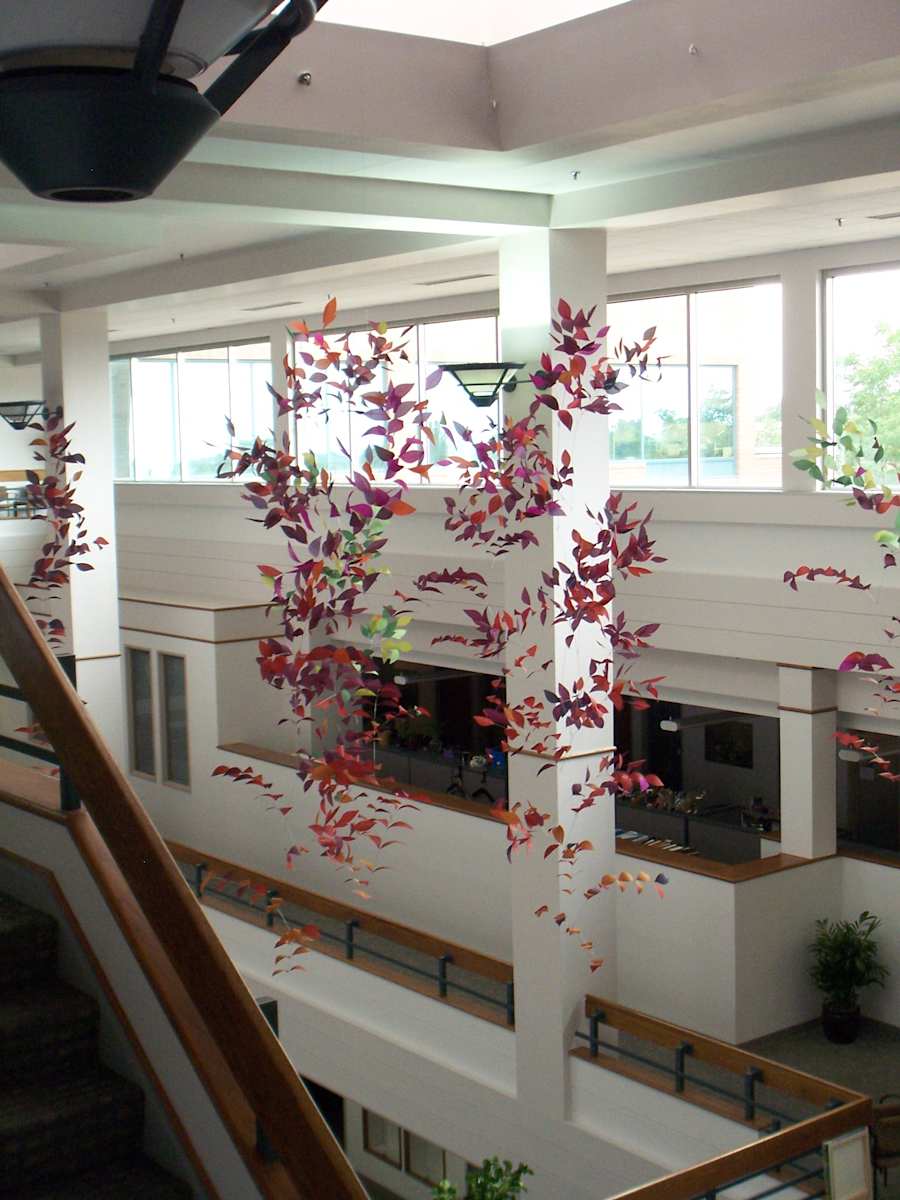 Growth & Blooming by Jan R Carson 