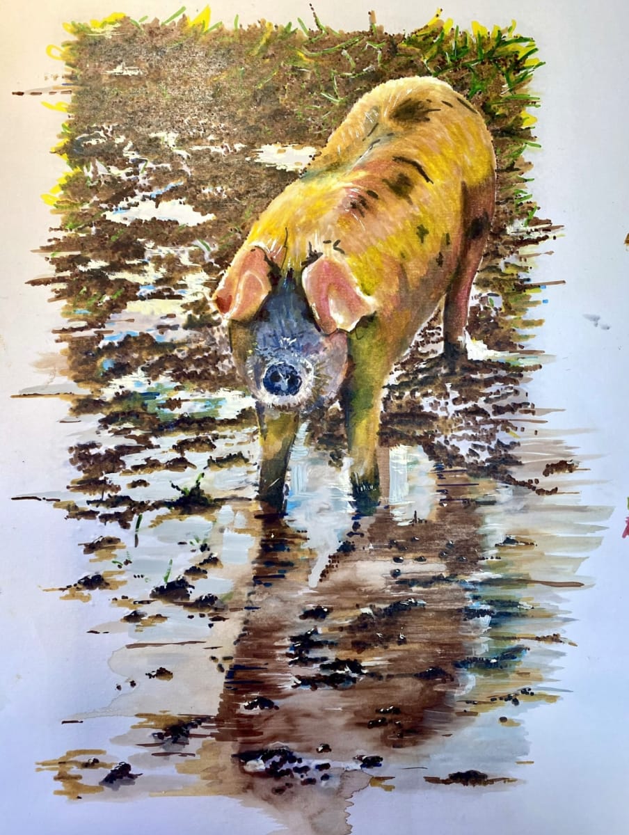 Alderney Pig - Mudbath by michelle 