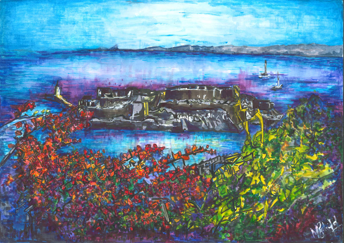 Castle Cornet (from above) by michelle 