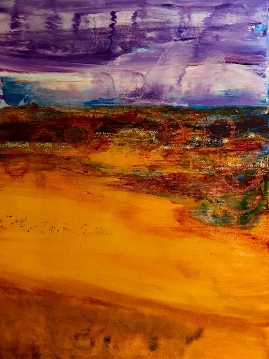 Passenger View by Sue Warhaftig 