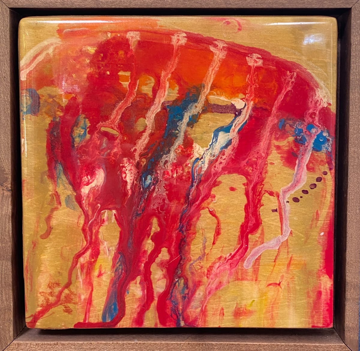 Planet Jelly by Sue Warhaftig 