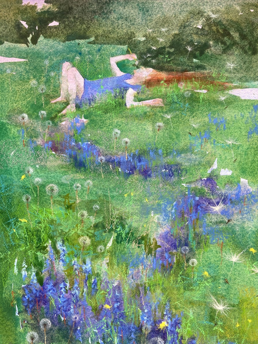 De wens by Anna Maria Vargiu 