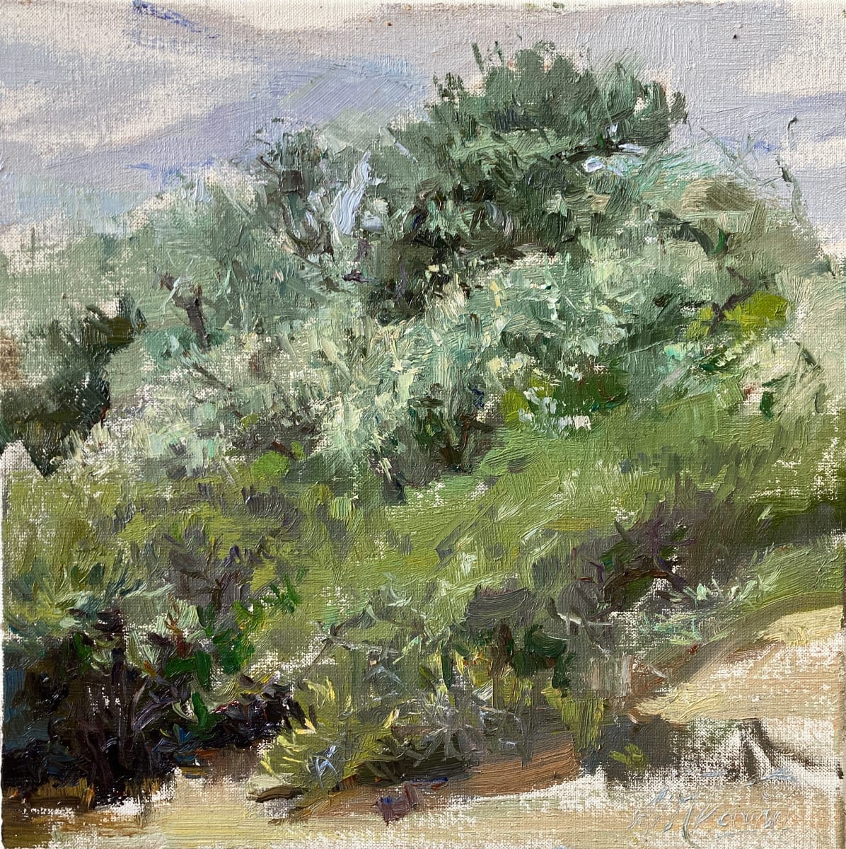 Zilver in de duinen by Anna Maria Vargiu 
