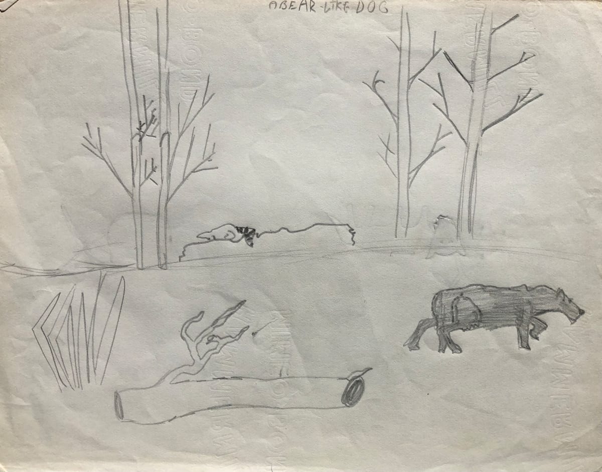 A Bear like Dog by CORCORAN 