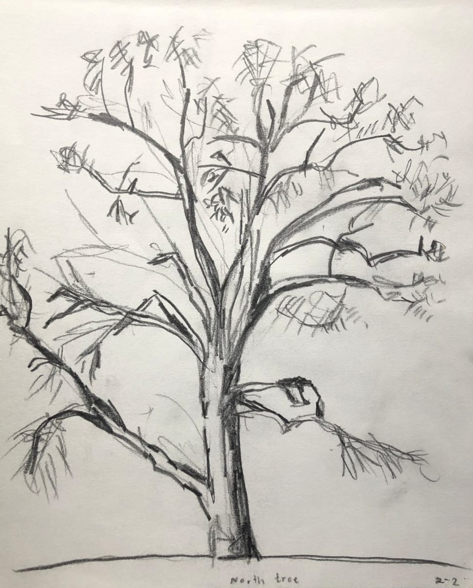 North Tree by CORCORAN 