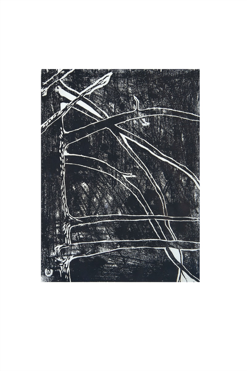 PINE Tree #1: EIGHT by CORCORAN 