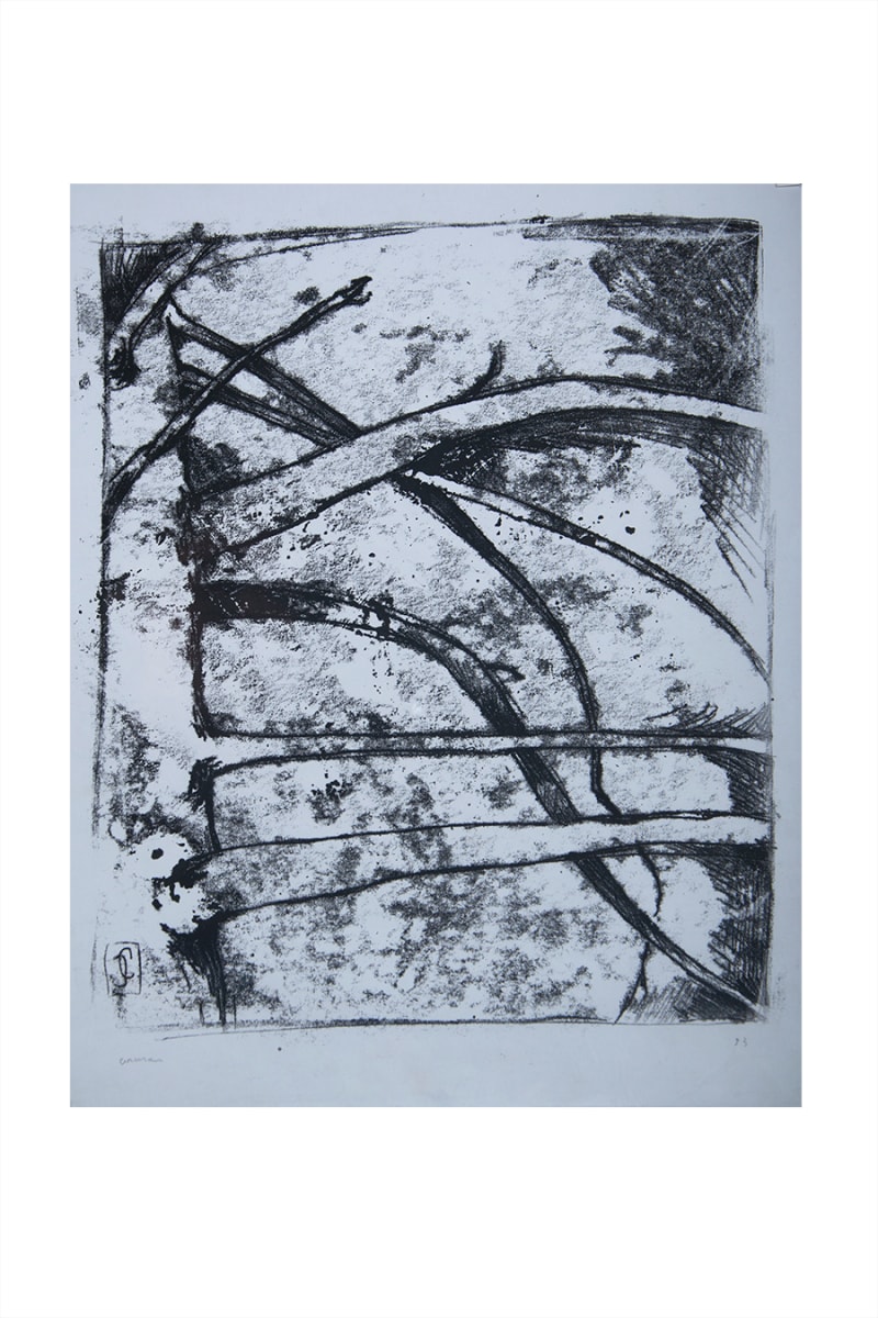 Pine Tree #3 by CORCORAN 