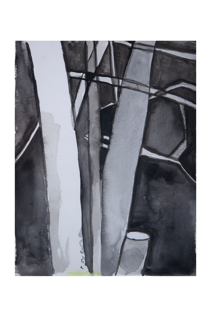 Hollies: B&W Tonals by CORCORAN 