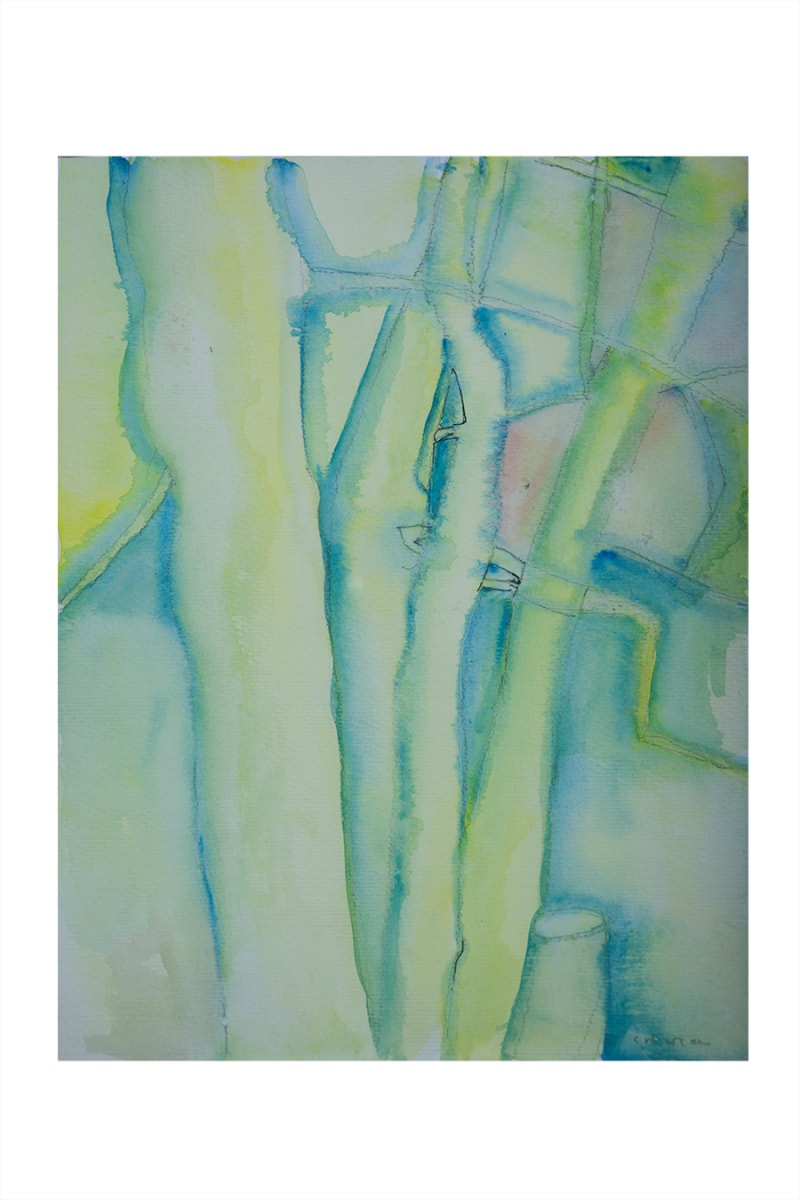 Hollies: Transparencies by CORCORAN 