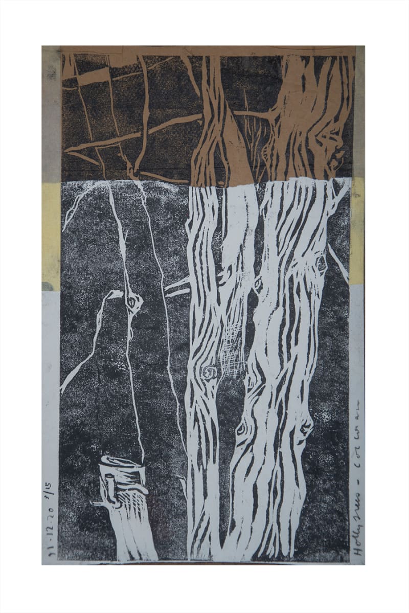 Hollies: by CORCORAN 