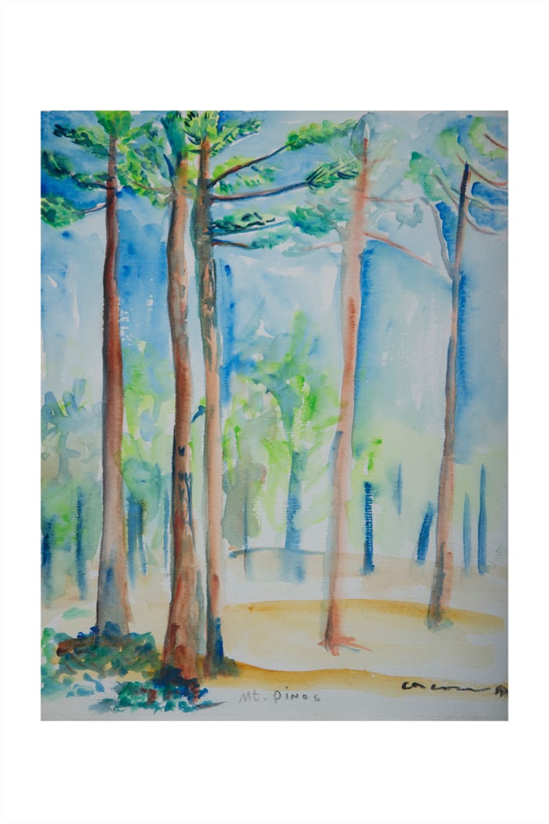 Mt. Pinos Pine Trees by CORCORAN 